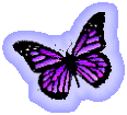 Purple Butterfly Glow